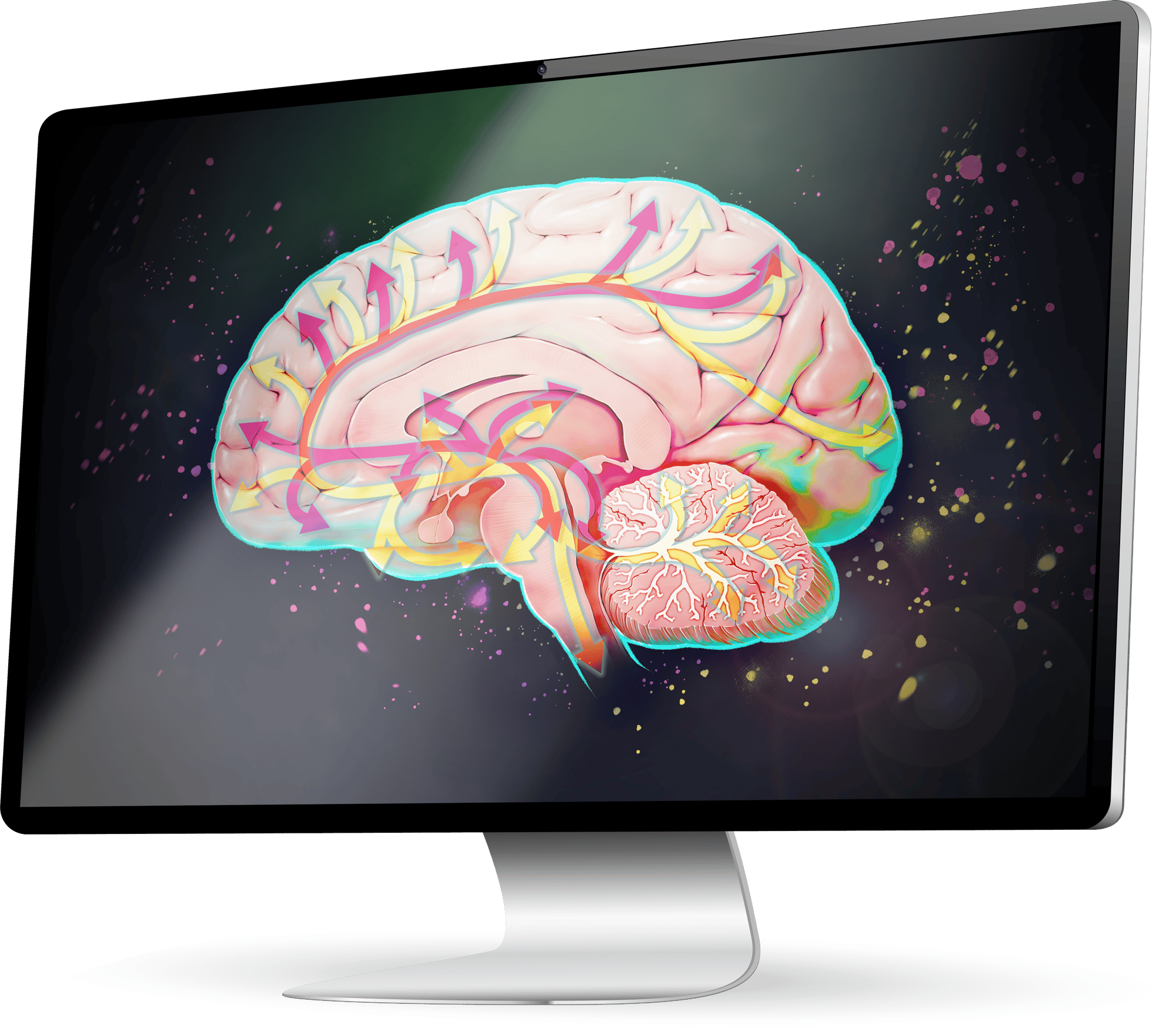Brain eLearning Example